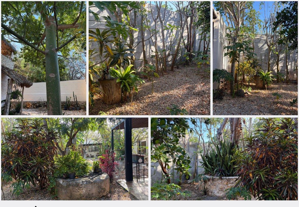 Jardín