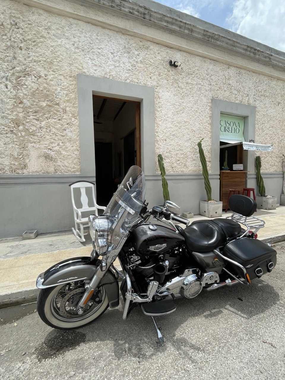 Motocicleta Harley Davidson estacionada frente a una fachada de edificio con cactus decorativos.