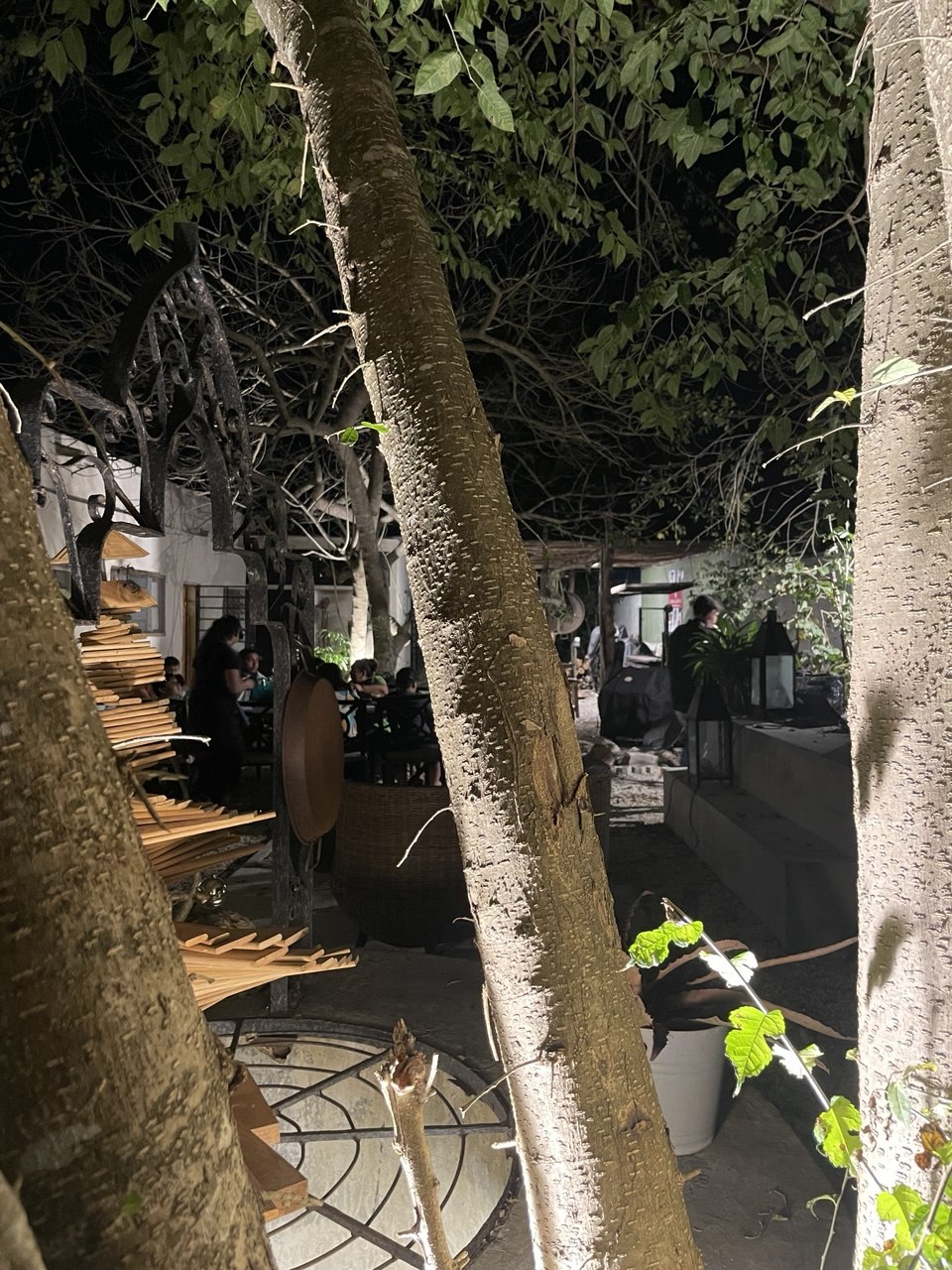 Patio exterior con árboles, mesas y personas cenando bajo la luz de la noche.