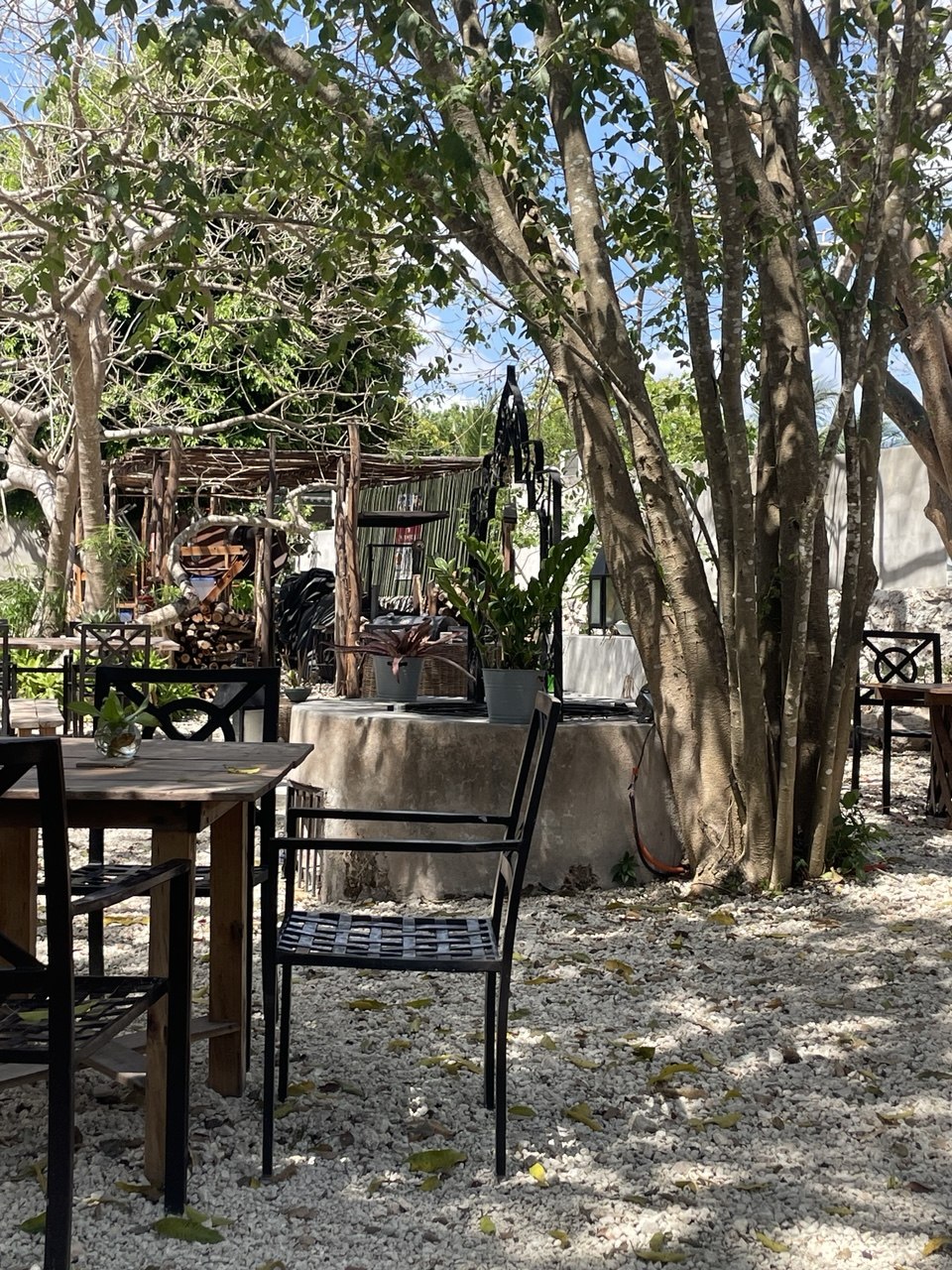 Patio exterior con mesas y sillas de metal, árboles frondosos y suelo de grava.