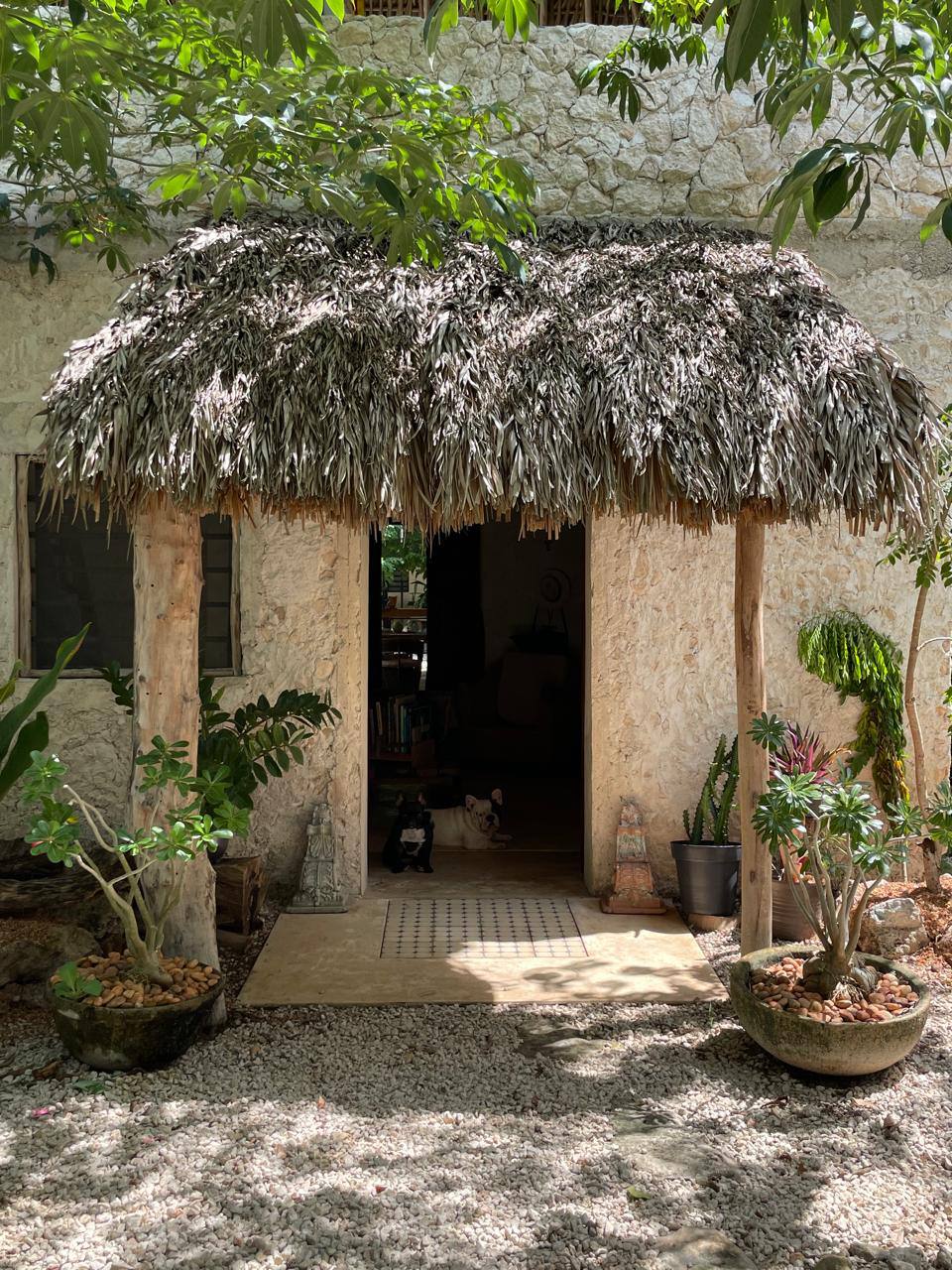 Entrada de casa rústica con techo de paja, paredes de piedra y plantas en macetas.