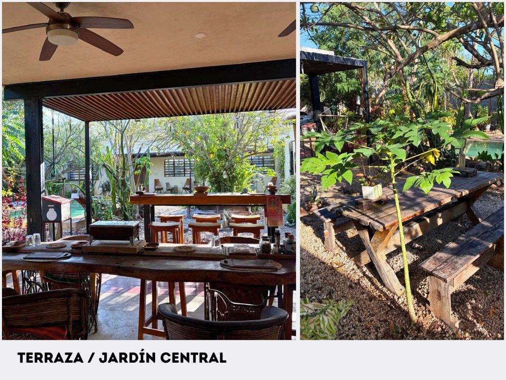 Terraza · Jardín central