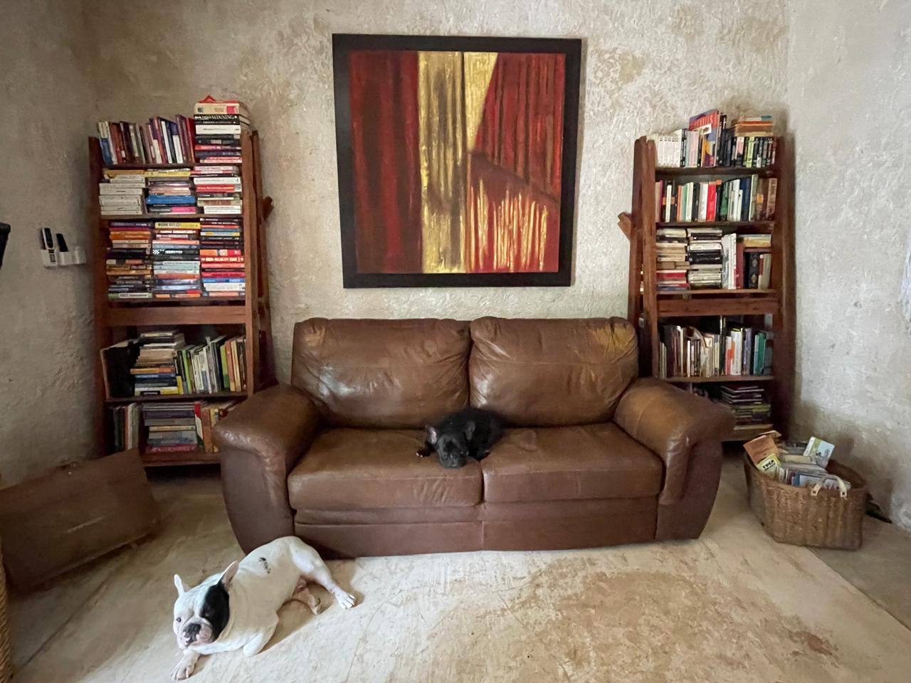 Sala con sofá de cuero, estanterías llenas de libros y dos perros bulldog.