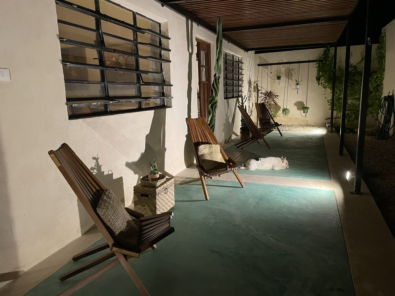 Patio exterior con sillas de madera, plantas colgantes y un perro blanco durmiendo en el suelo.