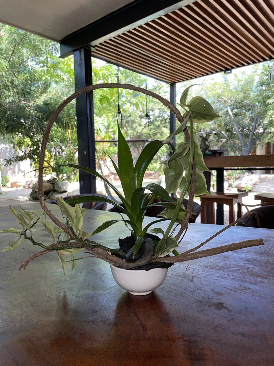 Planta decorativa en mesa de madera con techo de pérgola y vegetación de fondo.