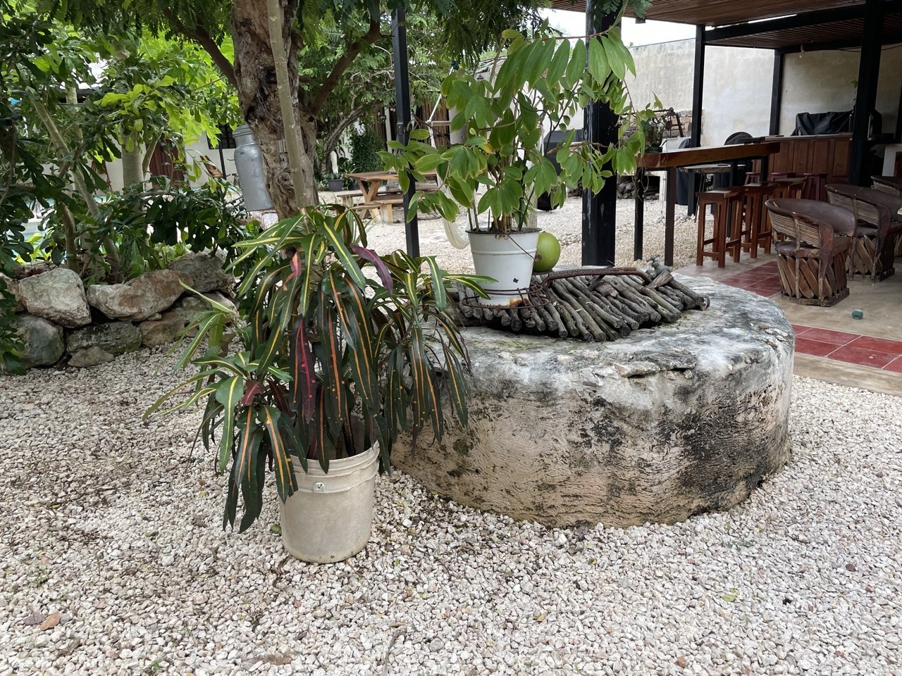 Patio exterior con piso de grava, plantas en macetas y barra de madera al fondo.