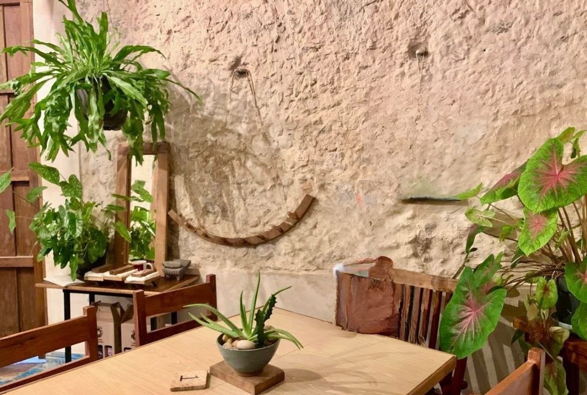 Mesa de madera con plantas, sillas y pared de piedra rústica en un comedor.