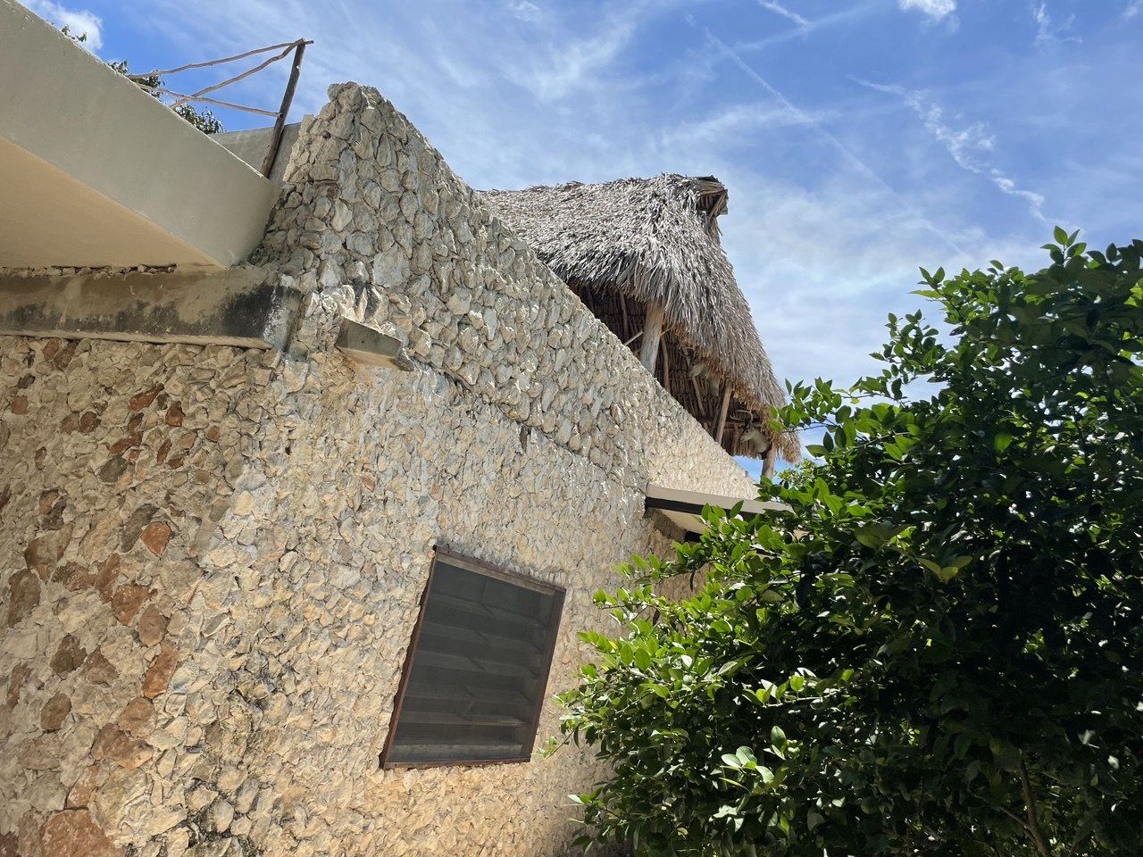 Vista exterior de una casa de piedra con techo de paja y vegetación.