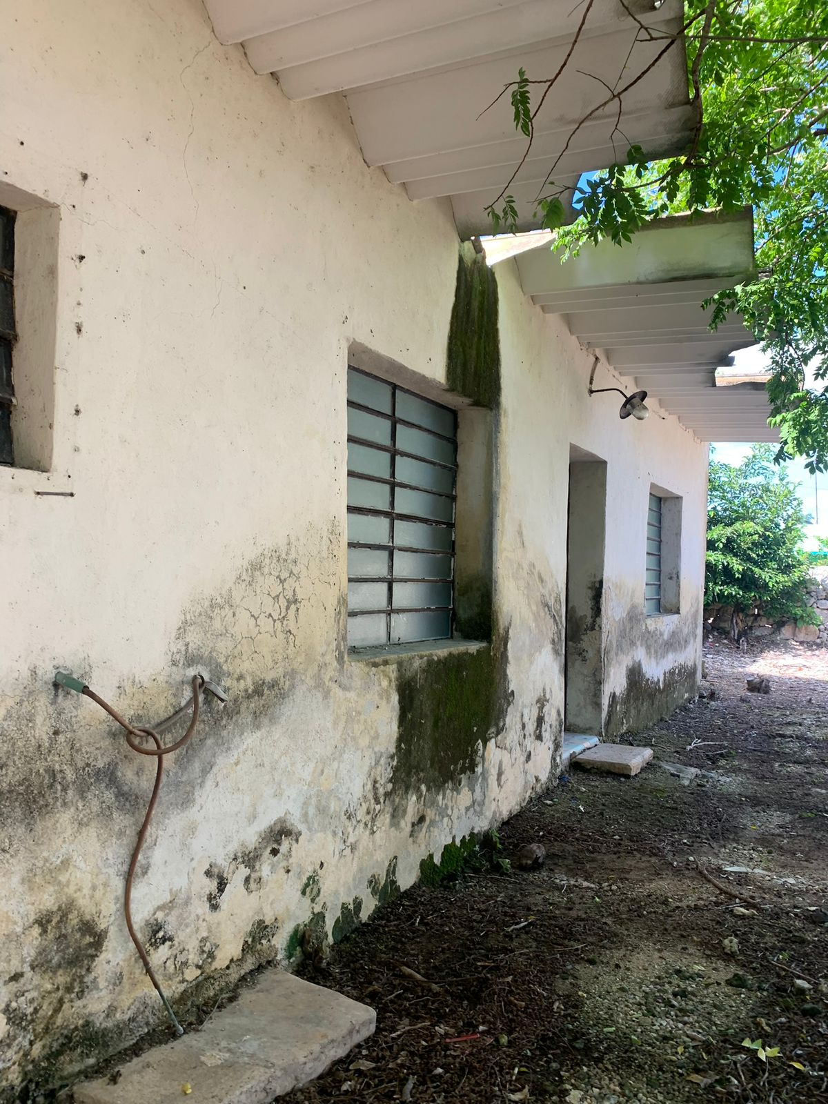 Pared exterior de una casa con ventanas enrejadas, musgo y vegetación, con un grifo y manguera.