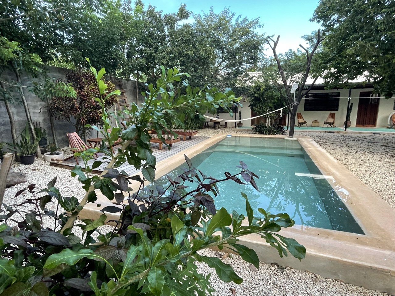 Piscina rectangular con borde de cemento, rodeada de grava, plantas y árboles.